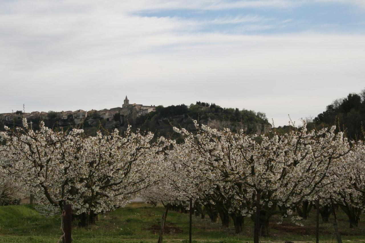 Le Mas Des Pierres Blanches Bed and Breakfast Venasque Esterno foto